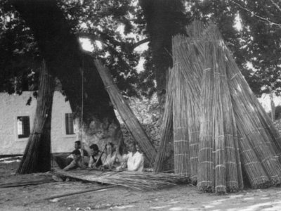 Discovery of the Cave