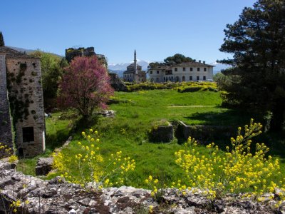 Ioannina Castle